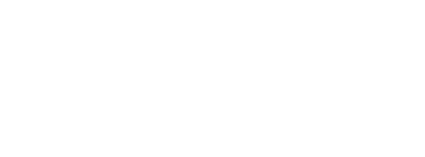 ELSA ČVUT